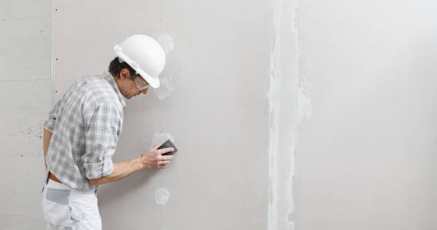 Best Repainting for Renovations  in Miami, AZ